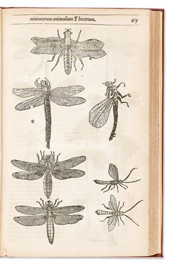 Moffett, Thomas (1553-1604) Insectorum sive Minimorum Animalium Theatrum.